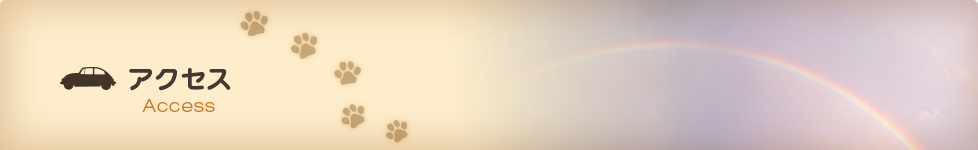 愛媛県松山市の動物病院　たいよう動物病院  アクセス