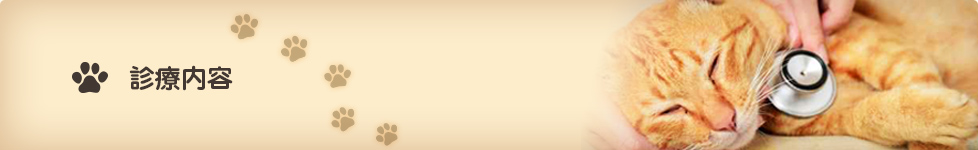 愛媛県松山市の動物病院　たいよう動物病院  診療内容