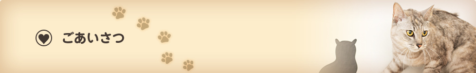 愛媛県松山市の動物病院　たいよう動物病院