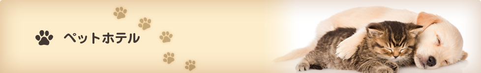 愛媛県松山市の動物病院　たいよう動物病院  ペットホテル