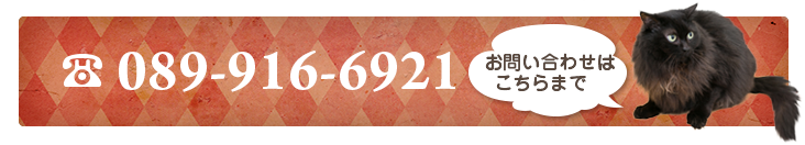 お問い合わせは089-916-6921