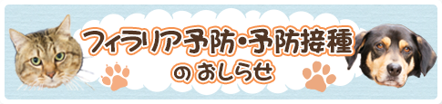フィラリア・予防接種のおしらせ