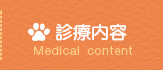 診療内容