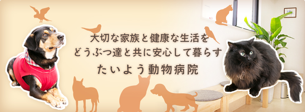 たいよう動物病院