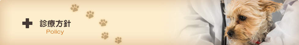 愛媛県松山市の動物病院　たいよう動物病院　診療方針