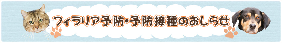 愛媛県松山市の動物病院　たいよう動物病院　フィラリア･予防接種のおしらせ